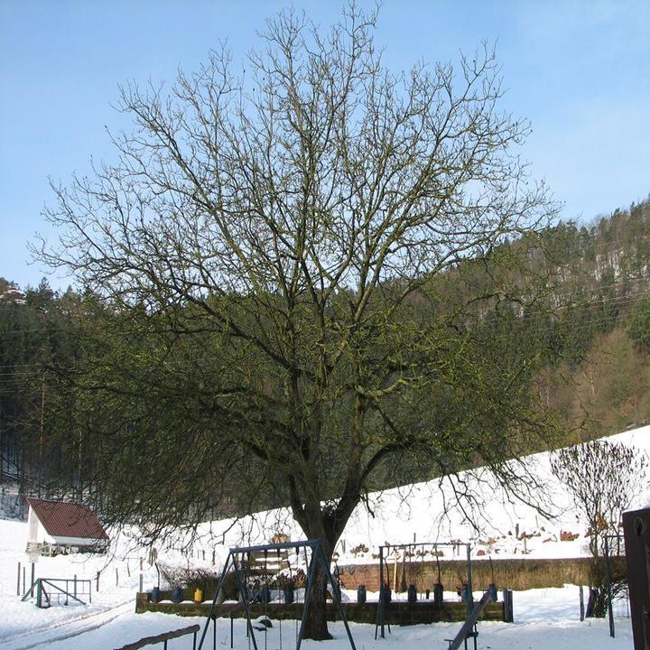 Bio-Gasthof Bärenbrunnerhof